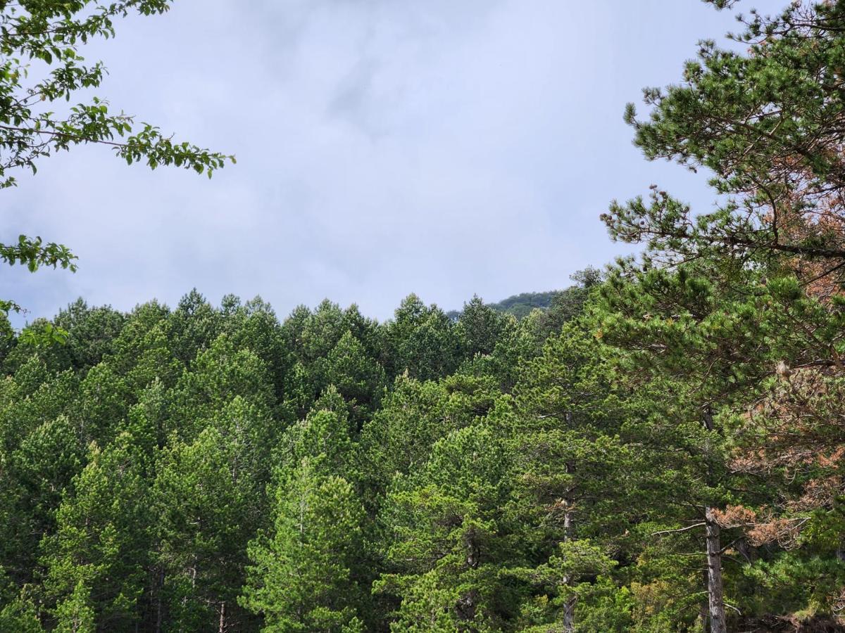 Llogara National Park Llogora Dervishaliu Hotel מראה חיצוני תמונה