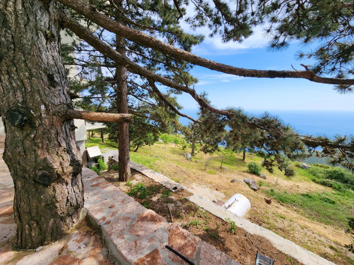 Llogara National Park Llogora Dervishaliu Hotel מראה חיצוני תמונה