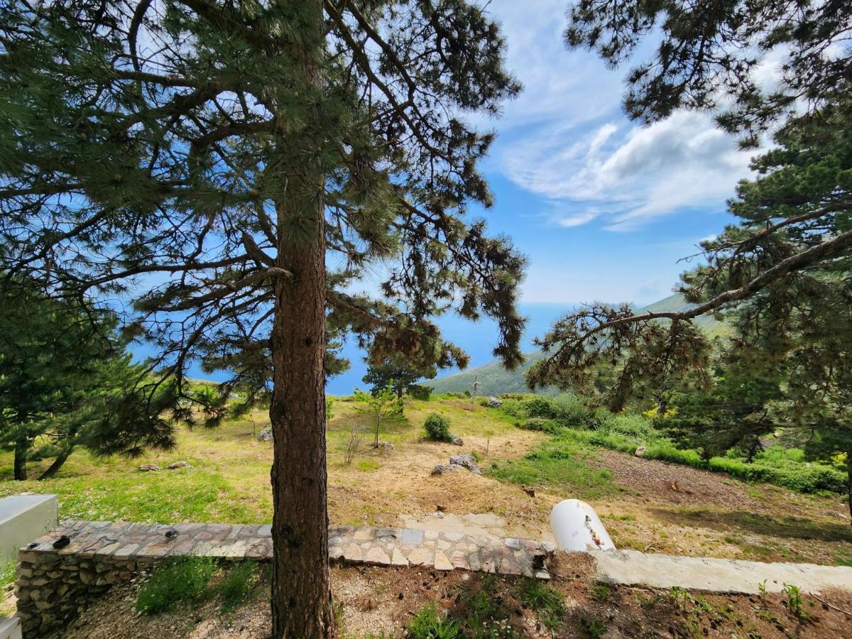 Llogara National Park Llogora Dervishaliu Hotel מראה חיצוני תמונה