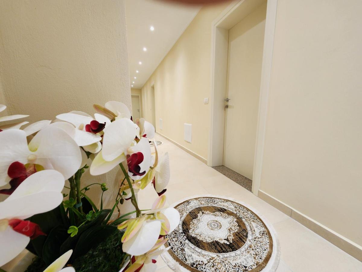 Llogara National Park Llogora Dervishaliu Hotel מראה חיצוני תמונה